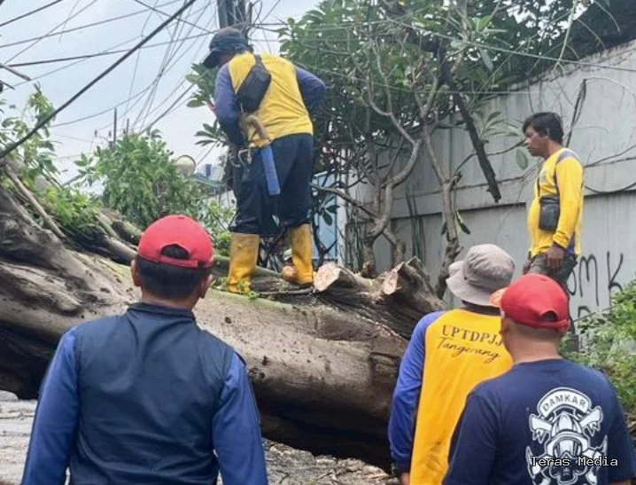 Keterangan foto: Petugas BPBD Kabupaten Tangerang mengevakuasi pohon tumbang yang menutup Jalan Raya Dadap–Kosambi, Sabtu (7/2/2026)./ardi