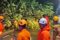 Keterangan foto: Petugas BPBD Kota Cilegon bersama unsur gabungan mengevakuasi pohon tumbang yang menutup akses Jalan PT Statomer, Kelurahan Gerem, Grogol, Kota Cilegon, Senin (16/2/2026) malam.