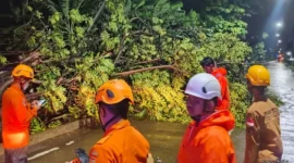 Keterangan foto: Petugas BPBD Kota Cilegon bersama unsur gabungan mengevakuasi pohon tumbang yang menutup akses Jalan PT Statomer, Kelurahan Gerem, Grogol, Kota Cilegon, Senin (16/2/2026) malam.