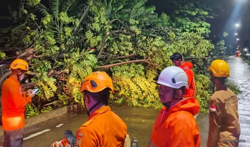 Keterangan foto: Petugas BPBD Kota Cilegon bersama unsur gabungan mengevakuasi pohon tumbang yang menutup akses Jalan PT Statomer, Kelurahan Gerem, Grogol, Kota Cilegon, Senin (16/2/2026) malam.