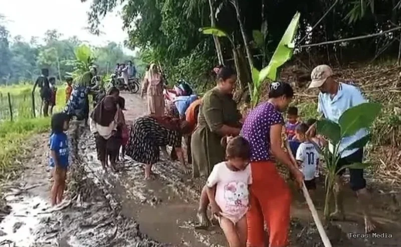 Keterangan foto : Jalan rusak ditanam pohon pisang di Cimarga, Lebak, Senin (16/2/2026)