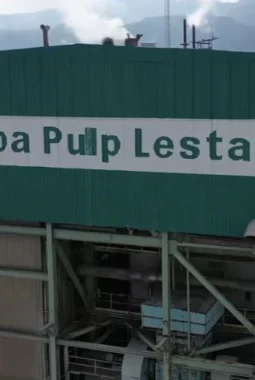 Ancaman PHK Massal, Pemerintah Diminta Jamin Hak Pekerja TPL