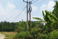 Keterangan foto : Tiang Wifi berdiri di jalan desa Mekarsari Kecamatan Maja Kabupaten Lebak, Sabtu (18/4/2026)