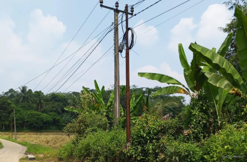 Keterangan foto : Tiang Wifi berdiri di jalan desa Mekarsari Kecamatan Maja Kabupaten Lebak, Sabtu (18/4/2026)