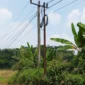 Keterangan foto : Tiang Wifi berdiri di jalan desa Mekarsari Kecamatan Maja Kabupaten Lebak, Sabtu (18/4/2026)