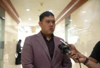 Wakil Ketua Komisi I Dewan Perwakilan Rakyat, Dave Laksono.