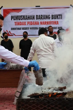 Polda Papua Barat Daya Musnahkan 8,288,57 Gram Ganja