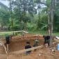 Keterangan foto : Prajurit Kodim 0601/Pandeglang bahu-membahu dengan warga setempat, menyatukan tenaga dan pikiran untuk membangun Jembatan Perintis Garuda Tahap III dan IV, Selasa (5/4/2026)