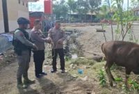 Momentum Hari Raya Idul Adha menjadikan wujud kepedulian sosial untuk berbagi kepada umat sesama manusia, PT Kristalin Ekalestari