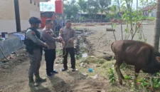 Momentum Hari Raya Idul Adha menjadikan wujud kepedulian sosial untuk berbagi kepada umat sesama manusia, PT Kristalin Ekalestari
