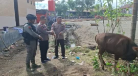 Momentum Hari Raya Idul Adha menjadikan wujud kepedulian sosial untuk berbagi kepada umat sesama manusia, PT Kristalin Ekalestari
