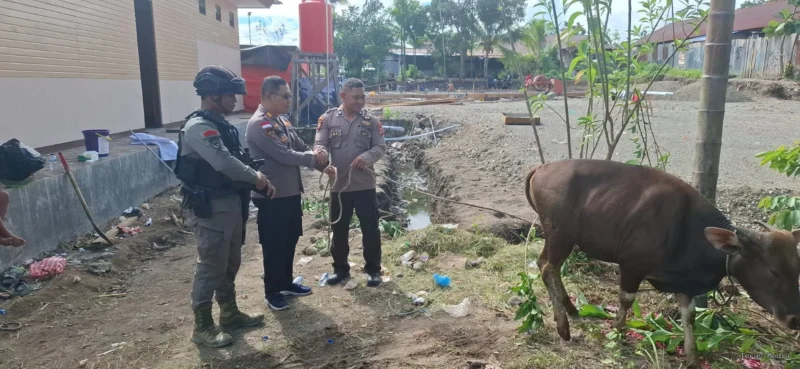 Momentum Hari Raya Idul Adha menjadikan wujud kepedulian sosial untuk berbagi kepada umat sesama manusia, PT Kristalin Ekalestari