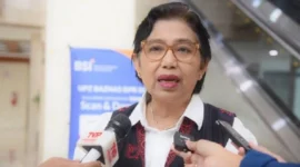 Anggota Komisi IX DPR, Irma Suryani Chaniago.