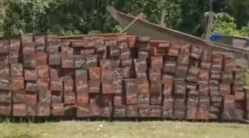 LSM WGAB Soroti Dugaan Penimbunan Kayu Ilegal di Moswaren, APH Diminta Segera Bertindak