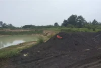Keterangan foto : pengelolaan limbah industri di wilayah Kabupaten Serang kembali terekspos ke permukaan, Minggu (31/5/2026)