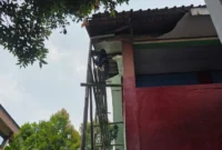 Keterangan poto : SDN 1 Rangkasbitung Barat, fokus berbenah sekolah dari perawatan pisik sampai KBM (Dosus)