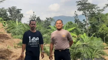 Keterangan poto : Bendahara umum ormas Jayagati Banten bersama Kapolsek Leuwidamar saat menijau lokasi Penanaman Jagung program tumpang sari