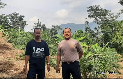 Keterangan poto : Bendahara umum ormas Jayagati Banten bersama Kapolsek Leuwidamar saat menijau lokasi Penanaman Jagung program tumpang sari