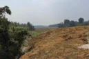 Zona Lahan Sawah Dilindungi di Jawilan