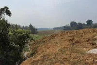 Zona Lahan Sawah Dilindungi di Jawilan