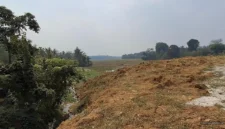 Zona Lahan Sawah Dilindungi di Jawilan
