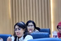Anggota Komisi IX DPR RI Fraksi Partai NasDem dari Daerah Pemilihan Sumatera Selatan II, Irma Suryani Chaniago.