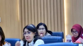 Anggota Komisi IX DPR RI Fraksi Partai NasDem dari Daerah Pemilihan Sumatera Selatan II, Irma Suryani Chaniago.