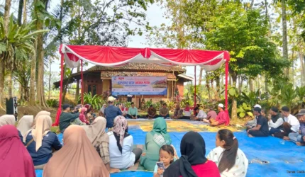Teras Media 14HKgPsv