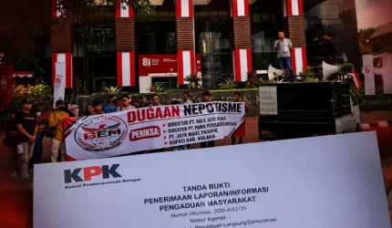 Teras Media QI7dvt5b