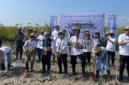 Menanam mangrove bukan lagi sekadar aksi penghijauan.