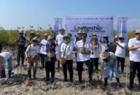 Menanam mangrove bukan lagi sekadar aksi penghijauan.