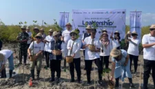 Menanam mangrove bukan lagi sekadar aksi penghijauan.