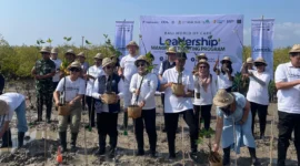 Menanam mangrove bukan lagi sekadar aksi penghijauan.