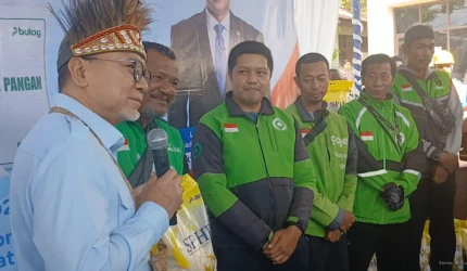 Teras Media KVPWGo36