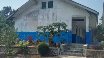 Keterangan poto : Kondisi ruang kelas SMPN 1 Cileles yang dibiarkan di tempati KELELAWAR hingga menimbulkan bau menyengat dan terkesan tak terawan