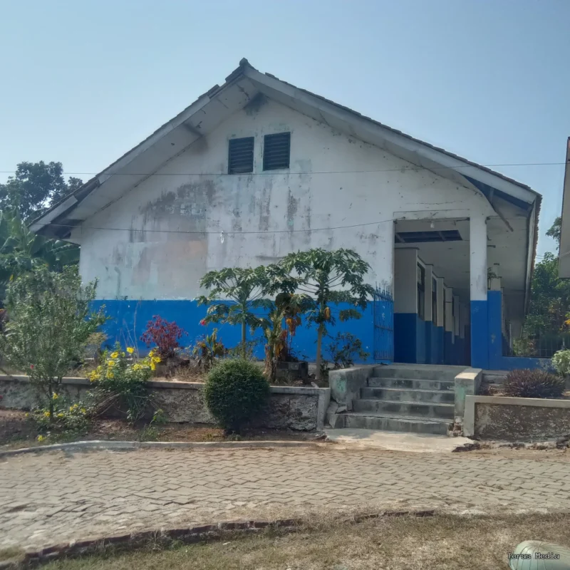 Keterangan poto : Kondisi ruang kelas SMPN 1 Cileles yang dibiarkan di tempati KELELAWAR hingga menimbulkan bau menyengat dan terkesan tak terawan 