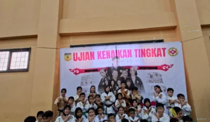 Teras Media 19BYkG83