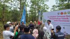 Pemulihan ekosistem gambut tidak cukup hanya dengan menghentikan kebakaran.