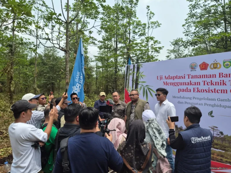 Pemulihan ekosistem gambut tidak cukup hanya dengan menghentikan kebakaran.