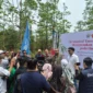 Pemulihan ekosistem gambut tidak cukup hanya dengan menghentikan kebakaran.
