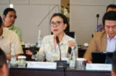 Ariani Djalal
Komisaris Independen PT ASDP Indonesia Ferry