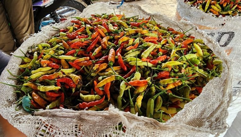 Kementan Pastikan Pasokan Cabai di NTB Kembali Normal Kementan pastikan pasokan cabai di NTB kembali normal